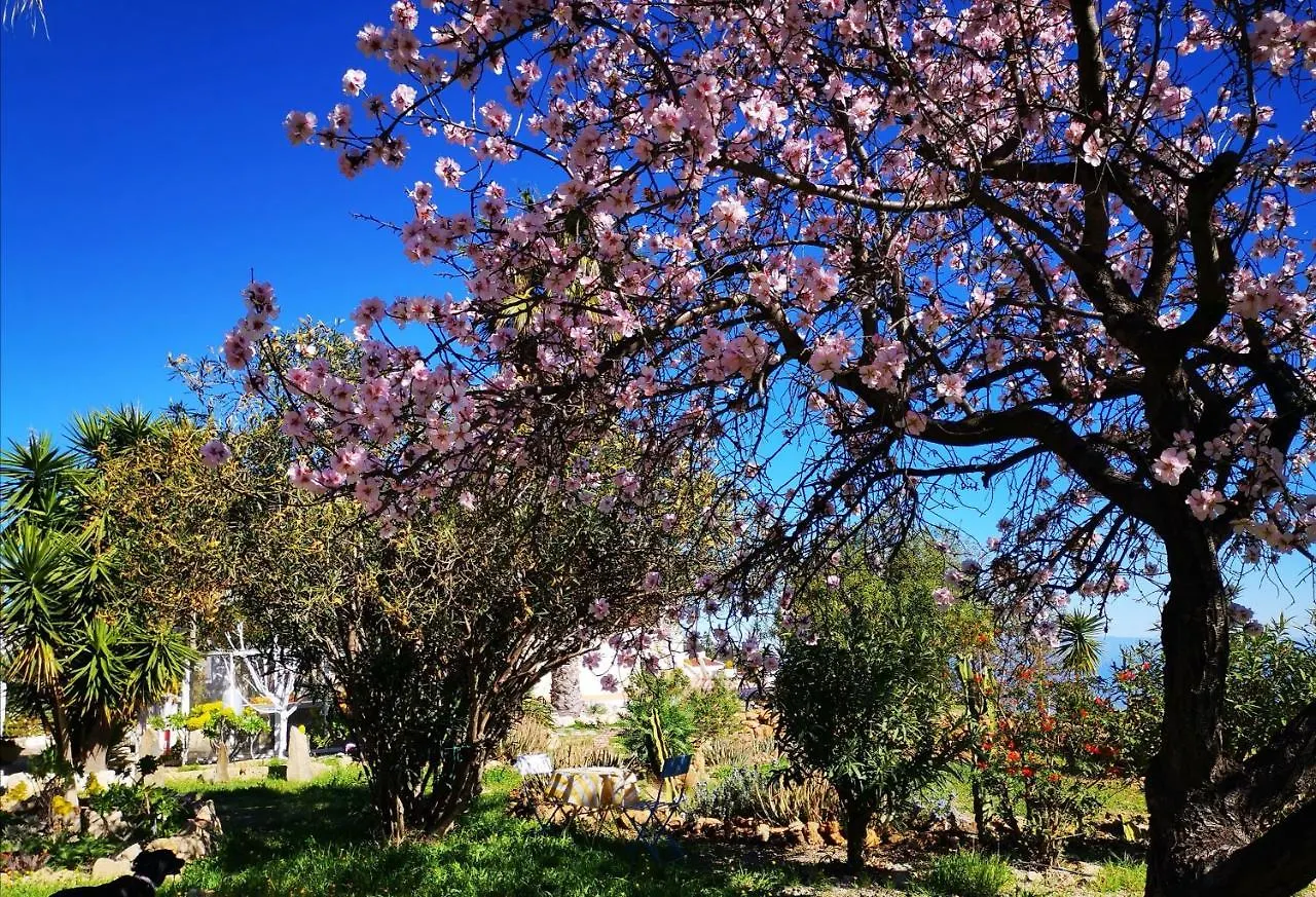Сasa de vacaciones Finca Dulce Granadilla De Abona