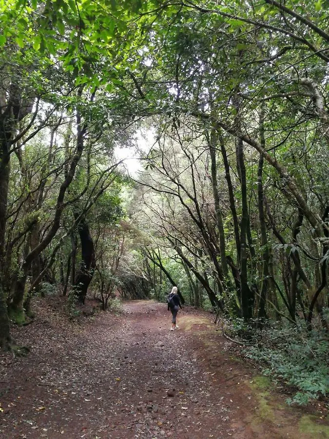Finca Dulce Maikel Granadilla De Abona