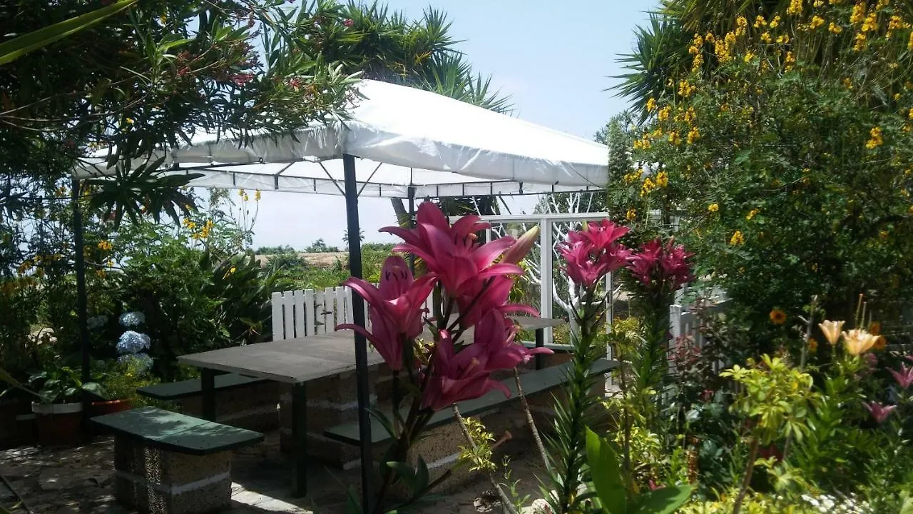 Holiday home Finca Dulce Maikel Granadilla De Abona Spain