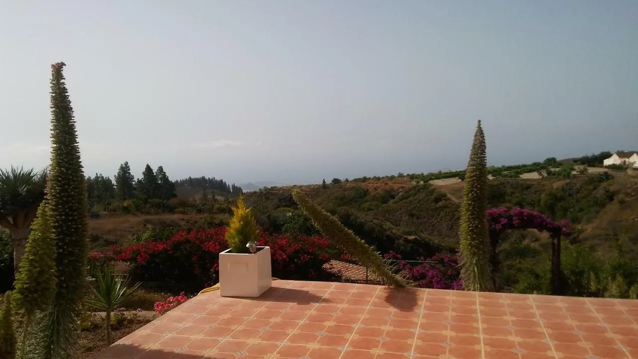 Finca Dulce Maikel Granadilla De Abona