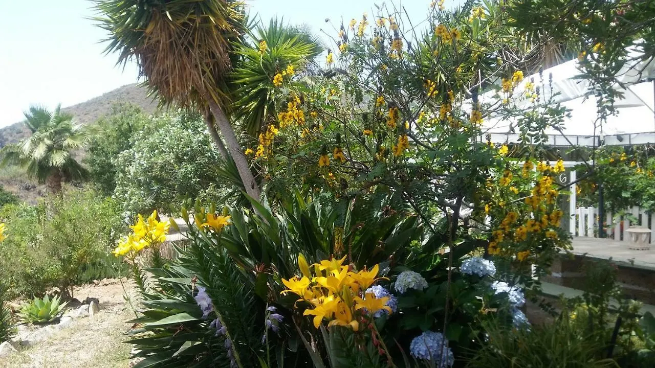 Holiday home Finca Dulce Maikel Granadilla De Abona